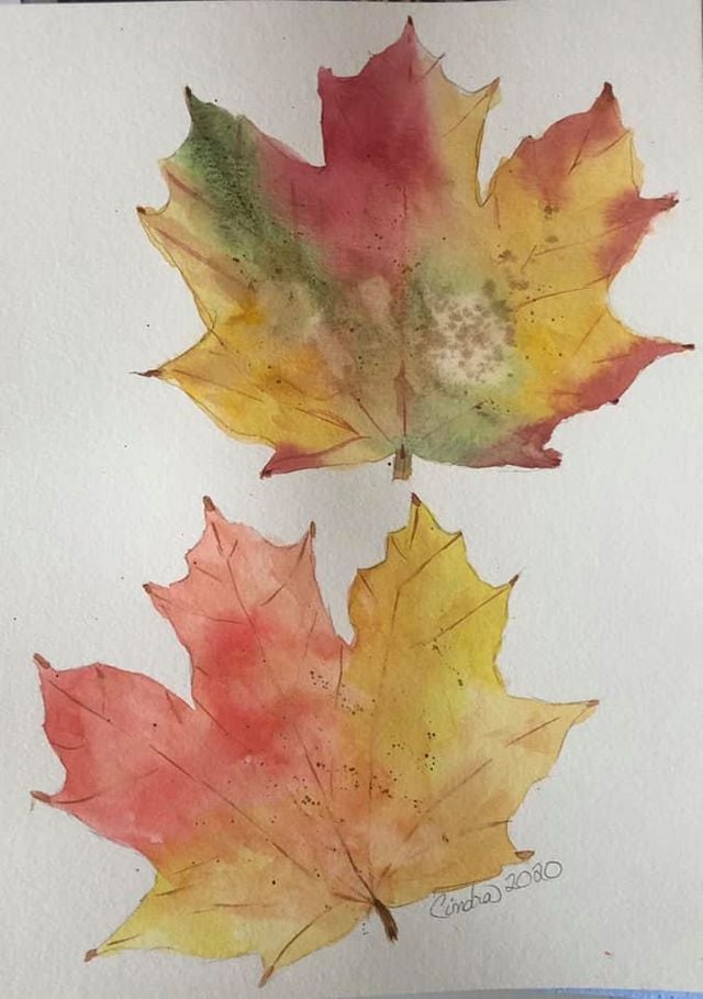 Autumn Leaves Watercolor Painting Class October 8