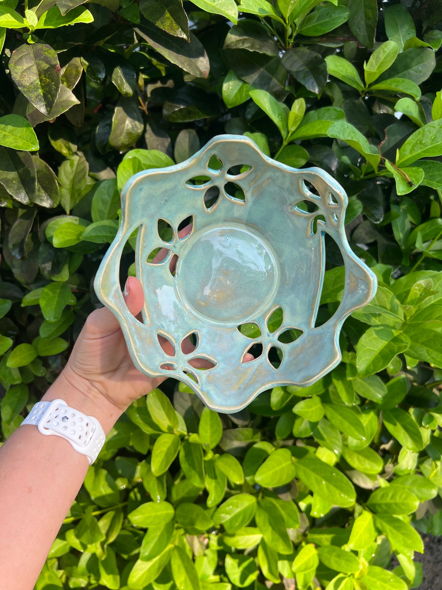 Fruit Bowl